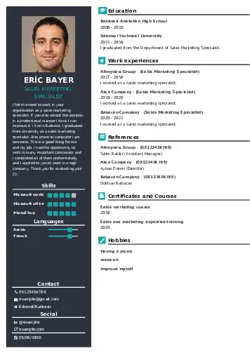 Sales Marketing Specialist  resume example